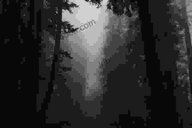 A Dark And Eerie Forest Path With The Silhouette Of Thrawn Janet In The Distance. Study Guide For Robert Louis Stevenson S Thrawn Janet