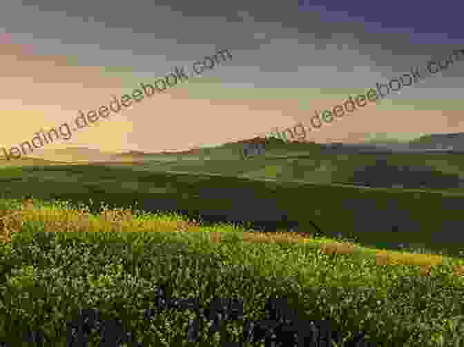 A Panoramic View Of The Picturesque Comaneshteni Countryside, With Rolling Hills, Lush Meadows, And A Serene River Meandering Through The Landscape. Love In The Countryside (The Comaneshteni Saga 1)