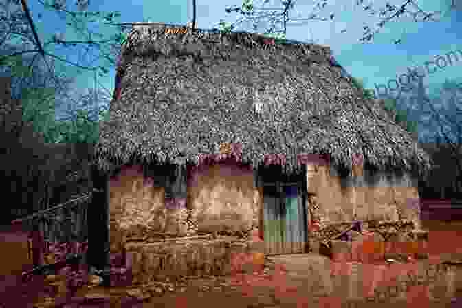 A Photograph Of The Popol Vuh Seedbank, A Traditional Mayan Building With A Thatched Roof And Wooden Walls, Surrounded By Lush Vegetation. The Popol Vuh (Seedbank 1)
