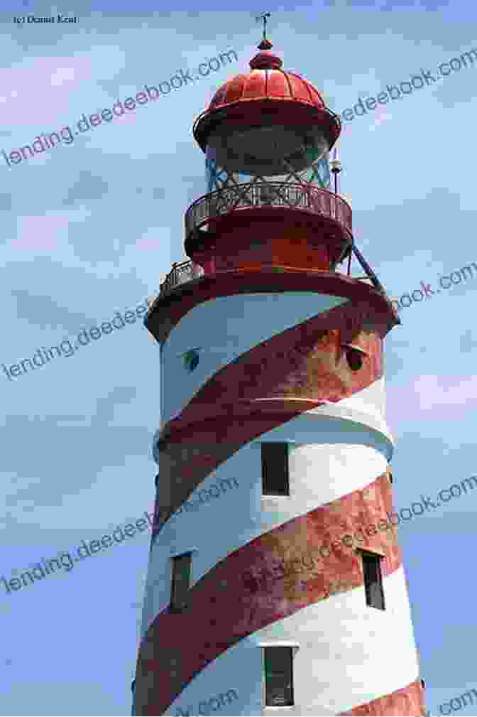 A Red Brick Lighthouse With A White Lantern Room, Surrounded By Lush Vegetation. Historic Lighthouses Of The Florida Keys (Images Of America)