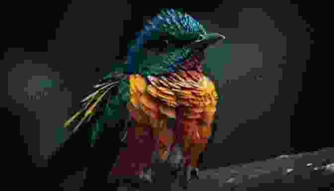 A Vibrant Parrot With Iridescent Feathers Perched On A Branch Of Parrots And People: The Sometimes Funny Always Fascinating And Often Catastrophic Collision Of Two Intelligent Species