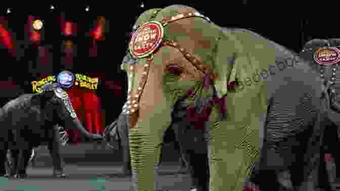 An Elephant Performing In The Circus Ring. Ringmaster : My Year On The Road With The Greatest Show On Earth
