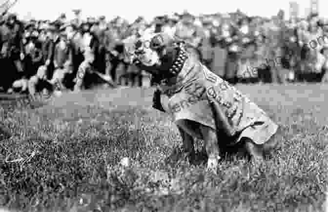 Stubby, The Stray Dog, Meeting The Soldiers Of The 102nd Infantry Regiment Stubby: A True Story Of Friendship