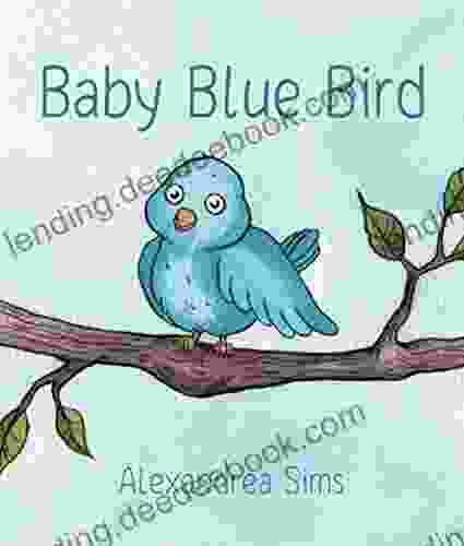 Baby Blue Bird K M Frost