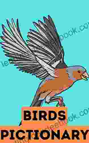 Birds Pictionary For Kids Adults January 2024 Book: PART 97