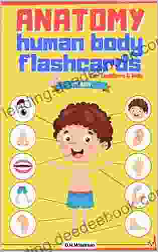 Anatomy Human Body Flashcards For Toddlers Kids: Body Pictures For 0 5 Years Preschools And Kindergartens