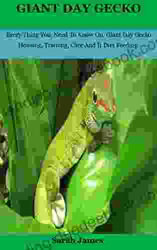 Giant Day Gecko: Every Thing You Need To Know On Giant Day Gecko Housing Training Care And It Diet Feeding