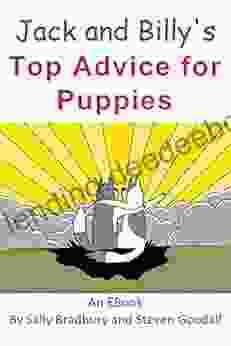 Jack And Billy S Top Advice For Puppies