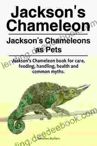 Jackson S Chameleons Pets Jackson S Chameleon For Feeding Care Common Myths Health And Handling Jackson S Chameleon Owners Guide