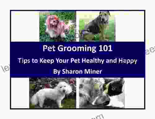 Pet Grooming 101 Tips To Keep Your Pet Healthy And Happy