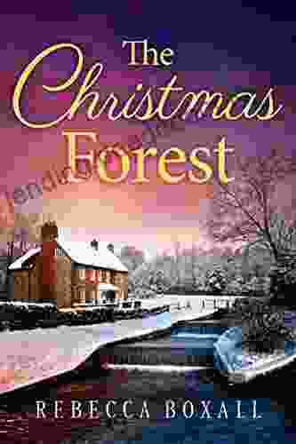 The Christmas Forest Rebecca Boxall