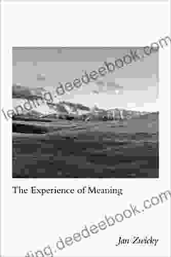 The Experience Of Meaning Shibal Bhartiya