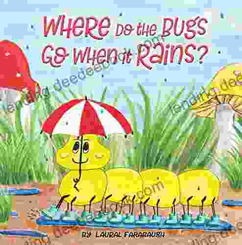 Where Do The Bugs Go When It Rains? (Where Do The Bugs Go Series)
